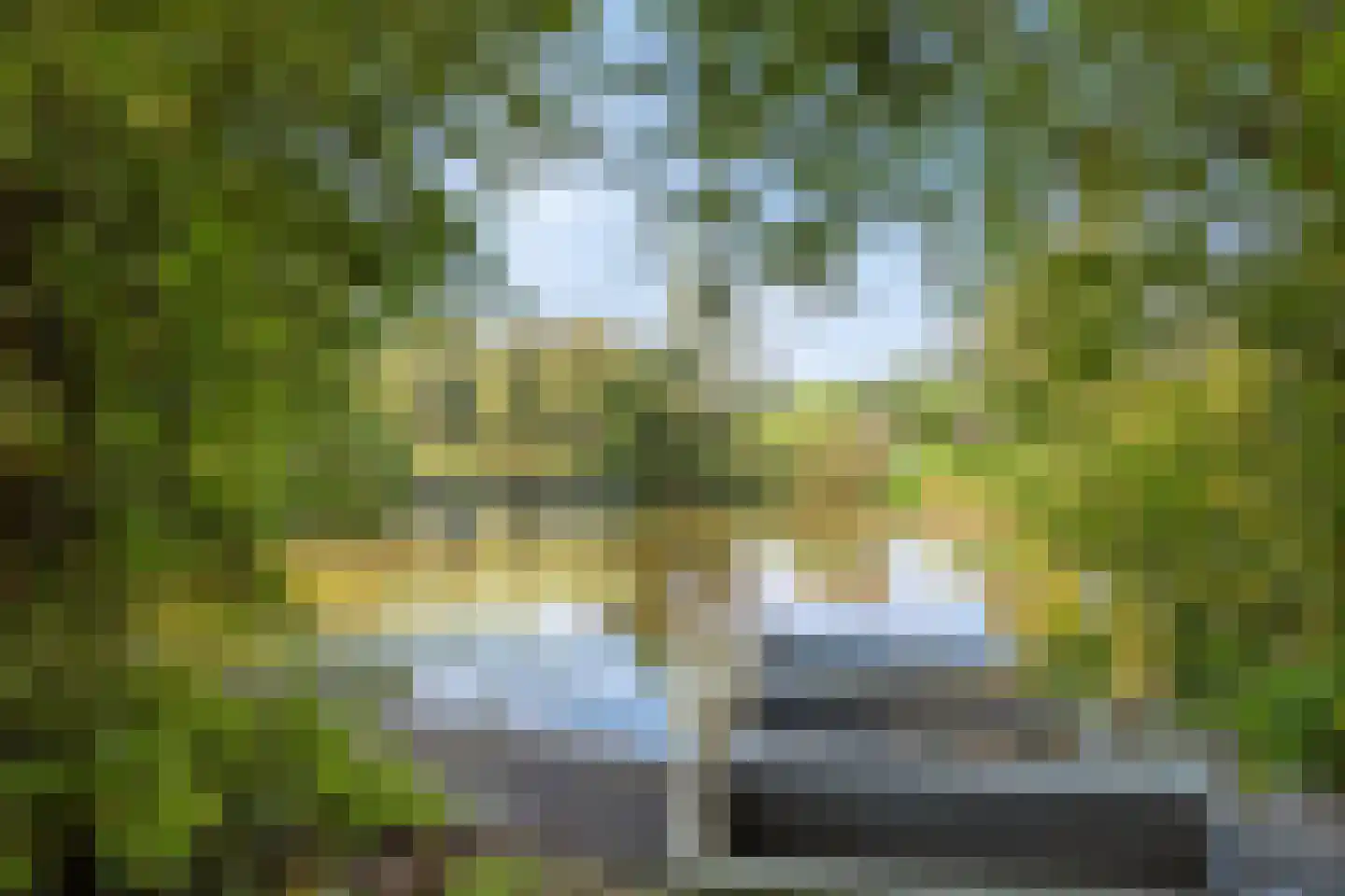 Simon van Capelweg 36 Noorden thumbnail 48