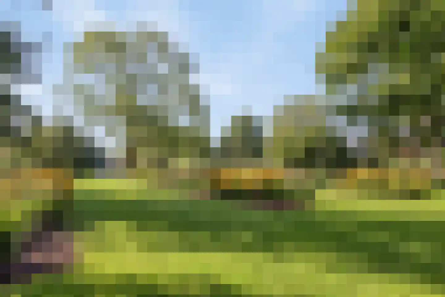 Simon van Capelweg 36 Noorden thumbnail 50