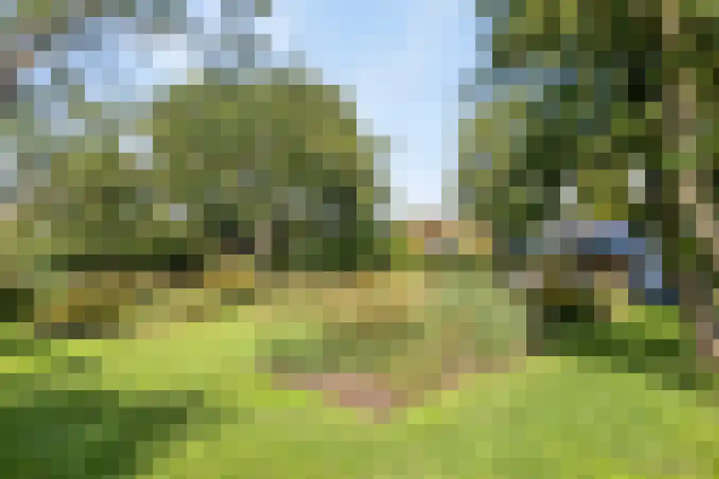 Simon van Capelweg 36 Noorden thumbnail 51