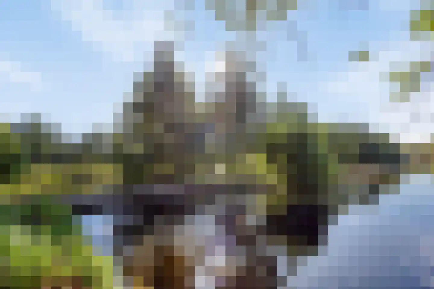 Simon van Capelweg 36 Noorden thumbnail 53