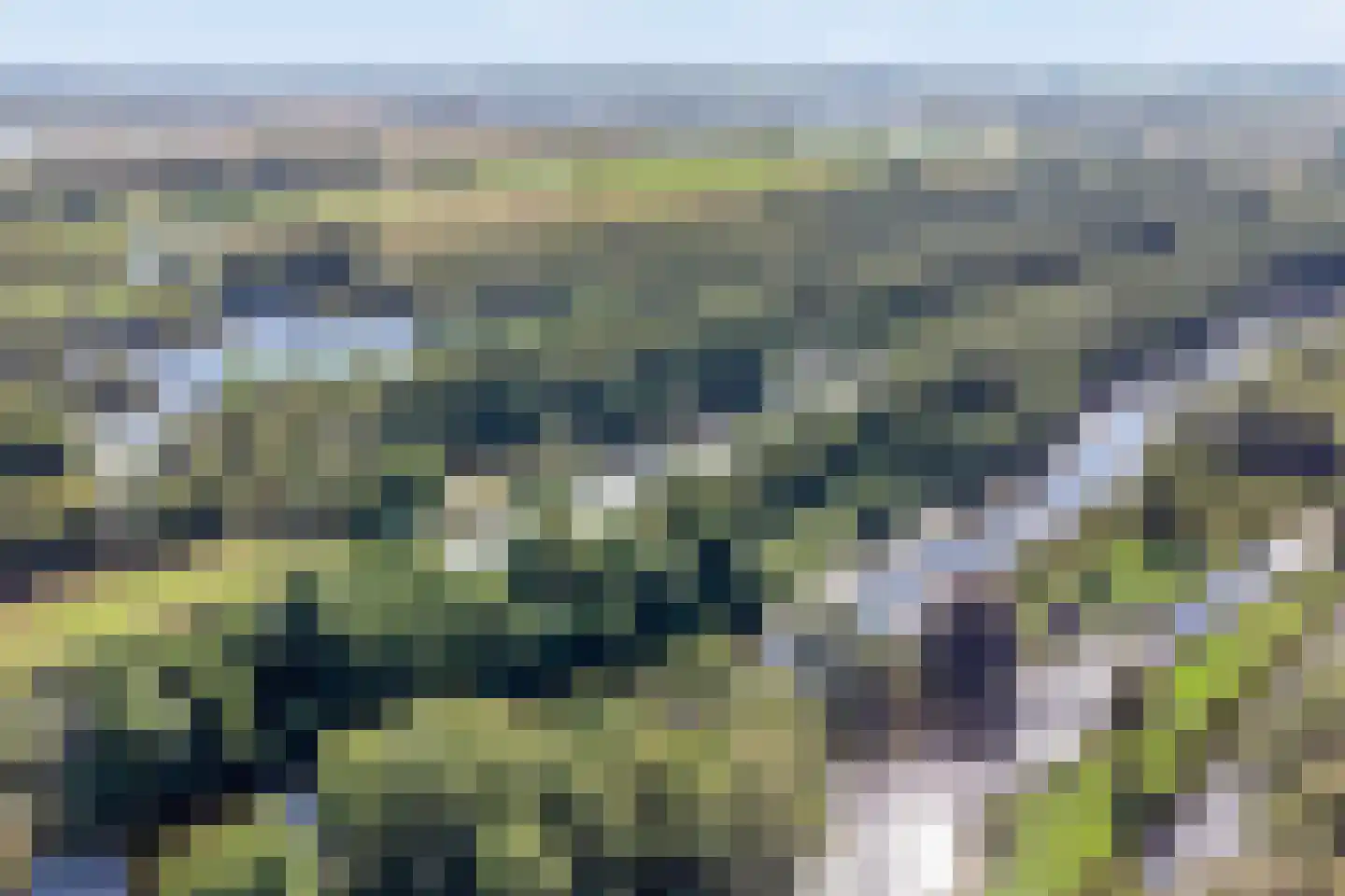 Simon van Capelweg 36 Noorden thumbnail 68