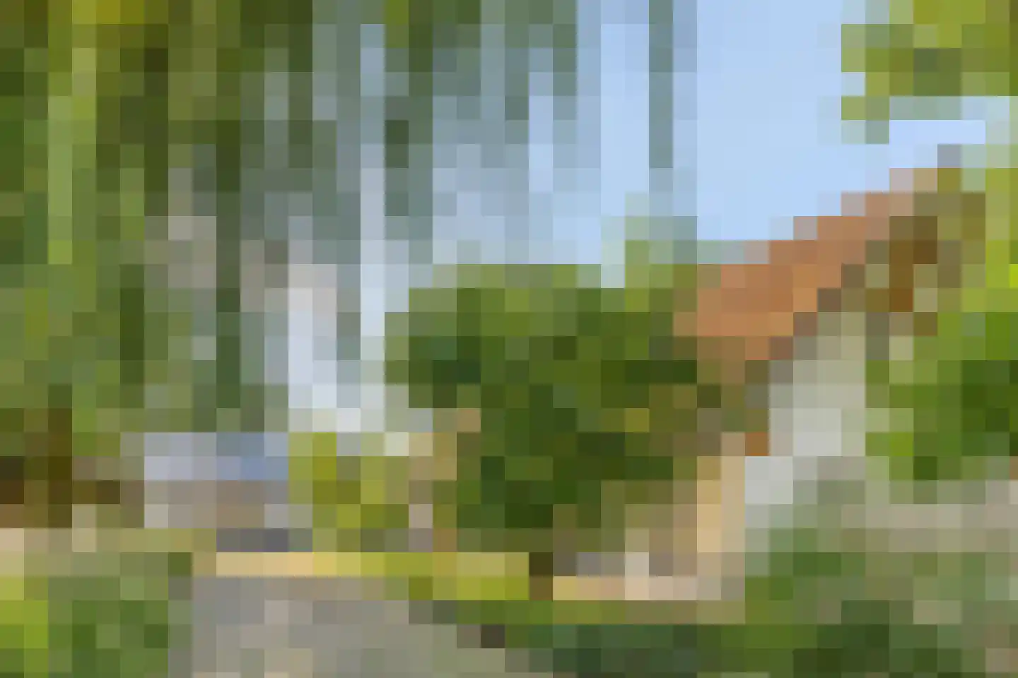 Simon van Capelweg 36 Noorden thumbnail 7