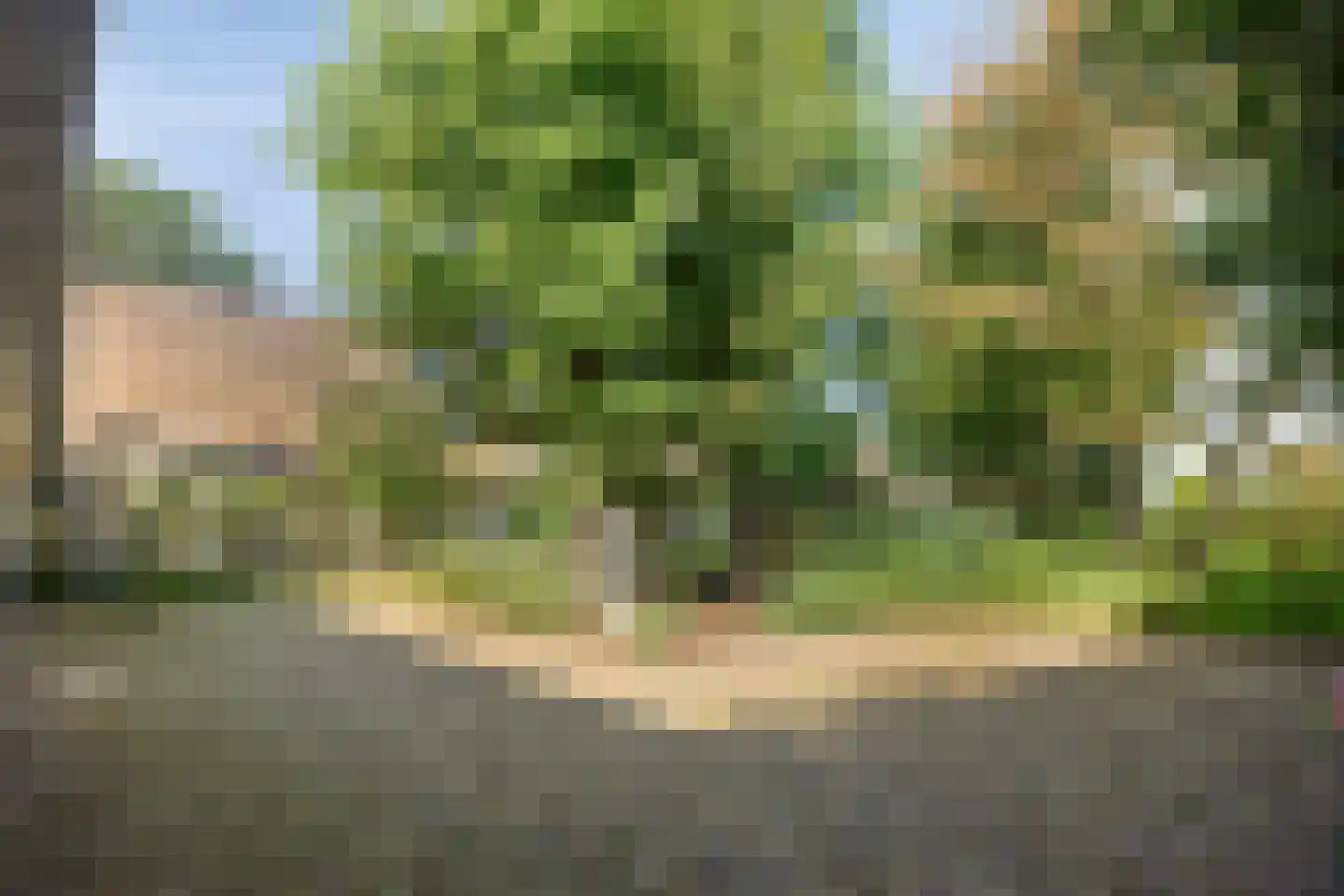 Simon van Capelweg 36 Noorden thumbnail 8