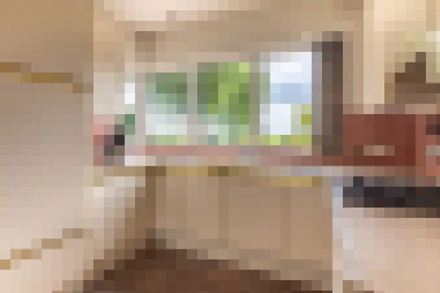 Simon van Capelweg 45 Noorden thumbnail 10