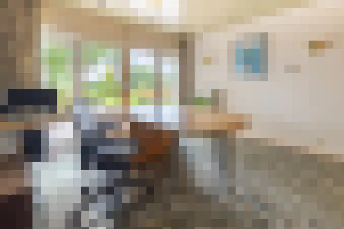 Simon van Capelweg 45 Noorden thumbnail 14