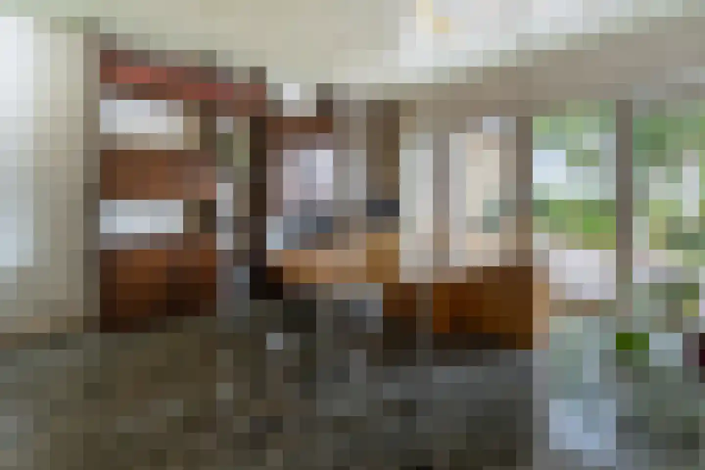 Simon van Capelweg 45 Noorden thumbnail 15