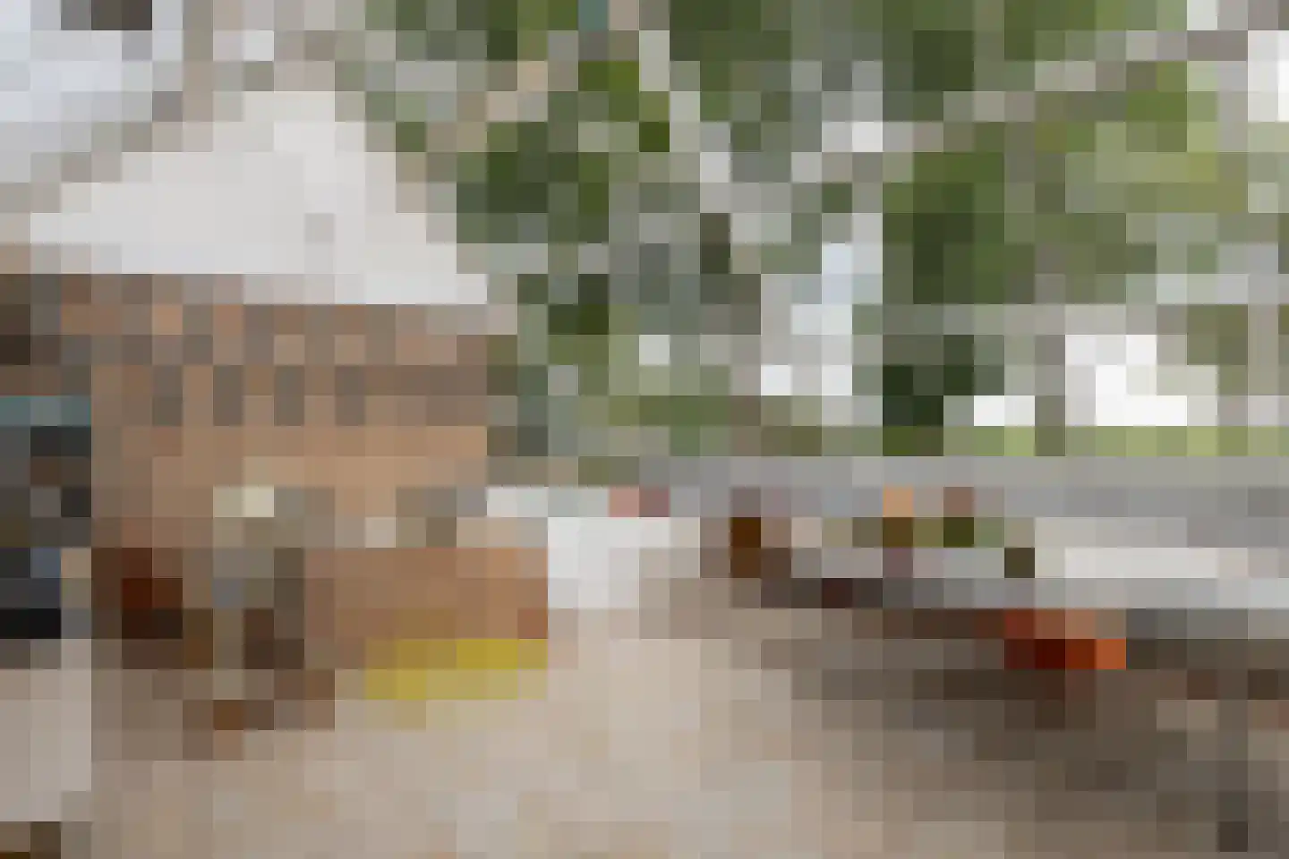 Simon van Capelweg 45 Noorden thumbnail 21
