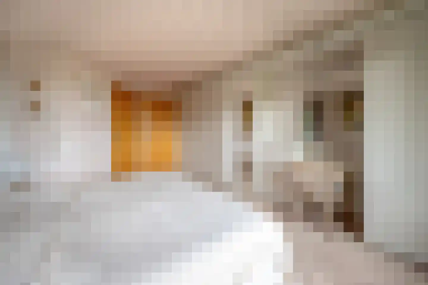 Simon van Capelweg 45 Noorden thumbnail 25