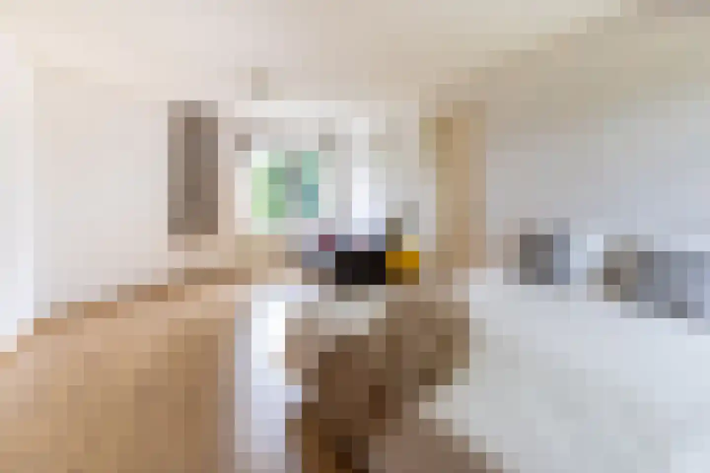 Simon van Capelweg 45 Noorden thumbnail 32