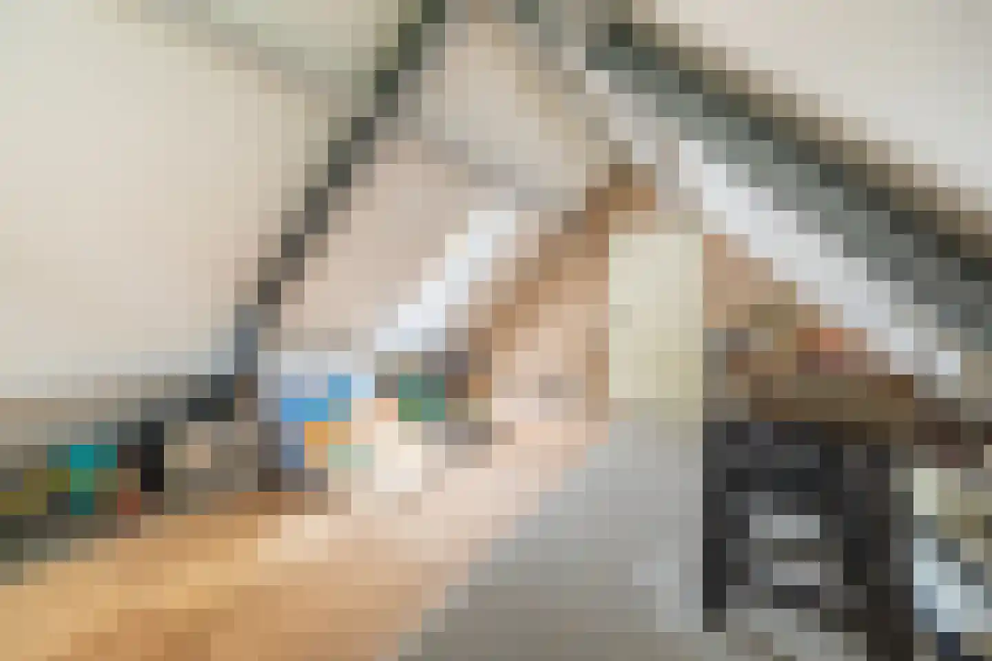 Simon van Capelweg 45 Noorden thumbnail 36