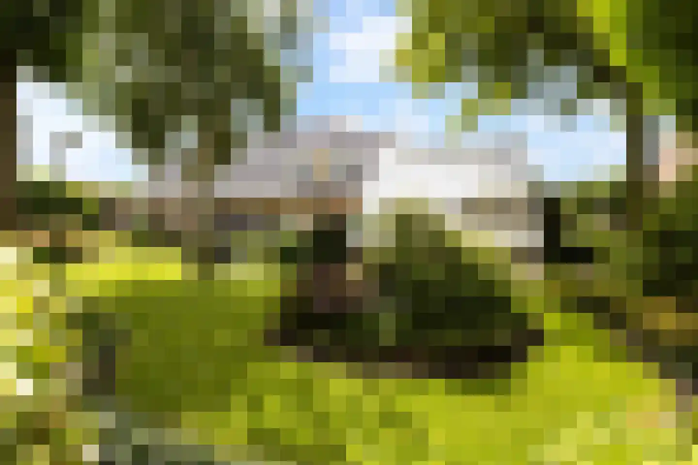 Simon van Capelweg 45 Noorden thumbnail 53