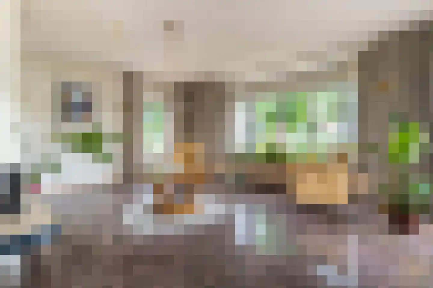 Simon van Capelweg 45 Noorden thumbnail 7