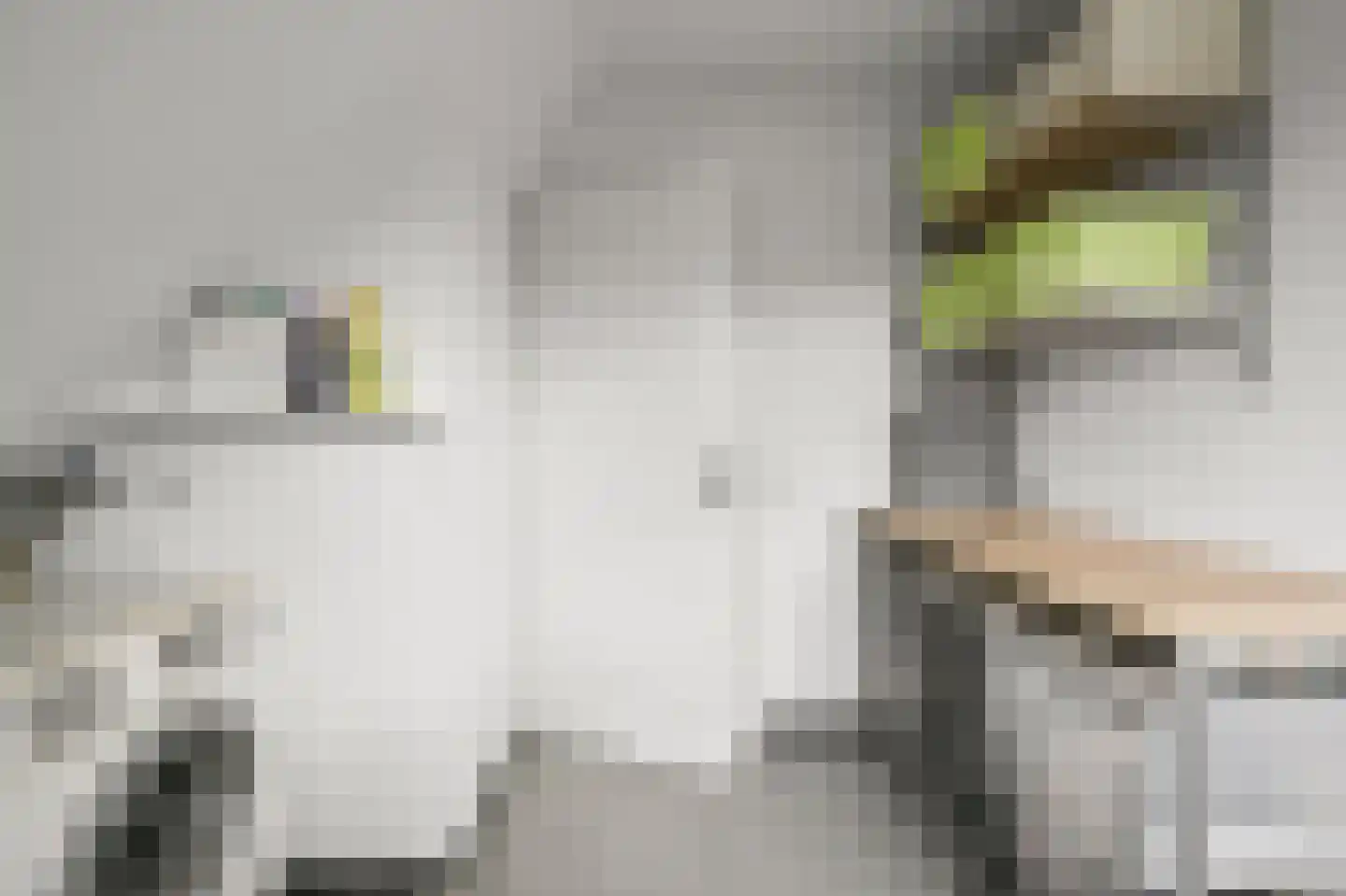 Simon van Capelweg 50 A Noorden thumbnail 30