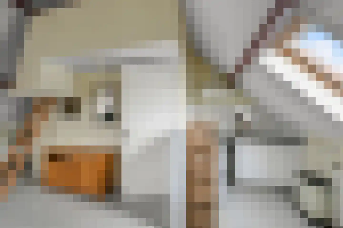 Simon van Capelweg 50 A Noorden thumbnail 40