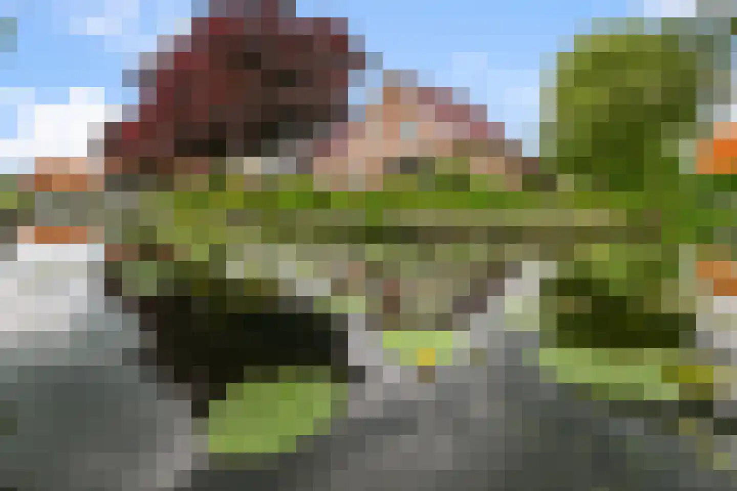 Simon van Capelweg 50 A Noorden thumbnail 49
