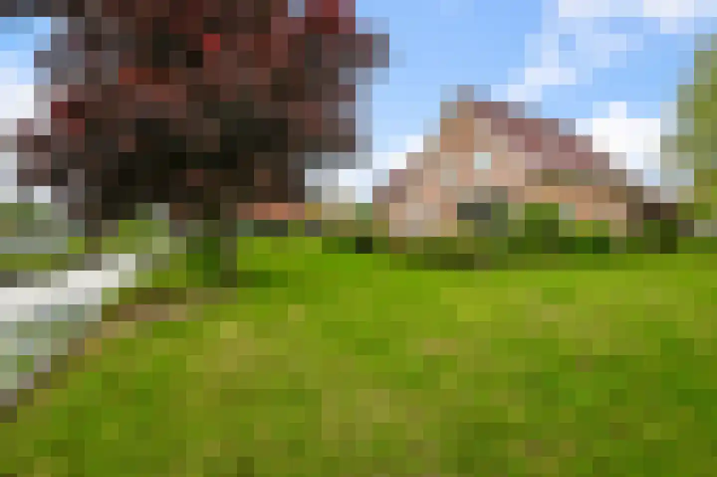 Simon van Capelweg 50 A Noorden thumbnail 57