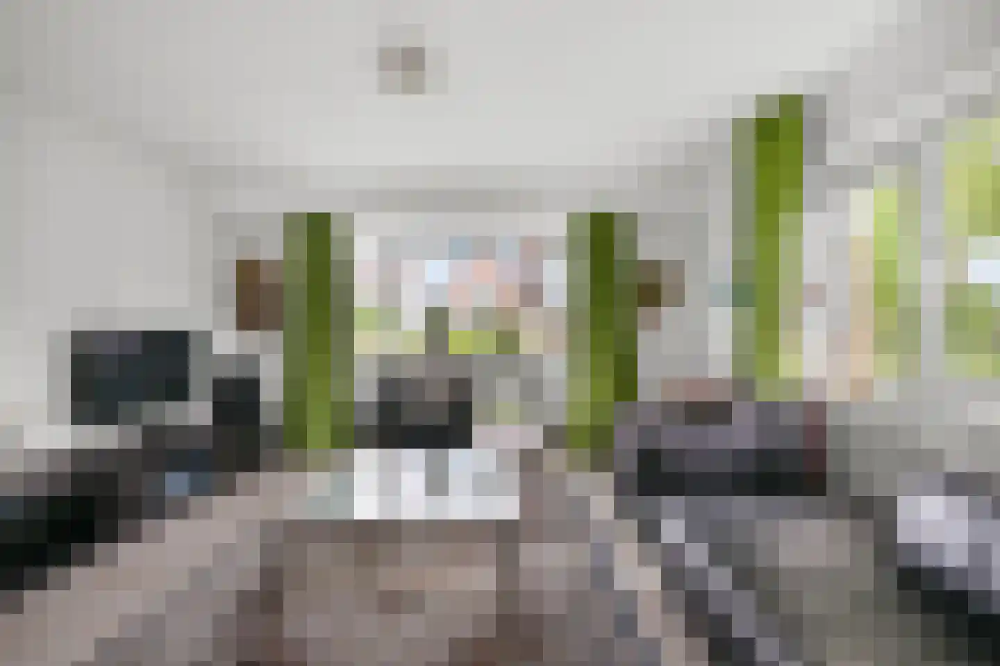 Simon van Capelweg 50 A Noorden thumbnail 8
