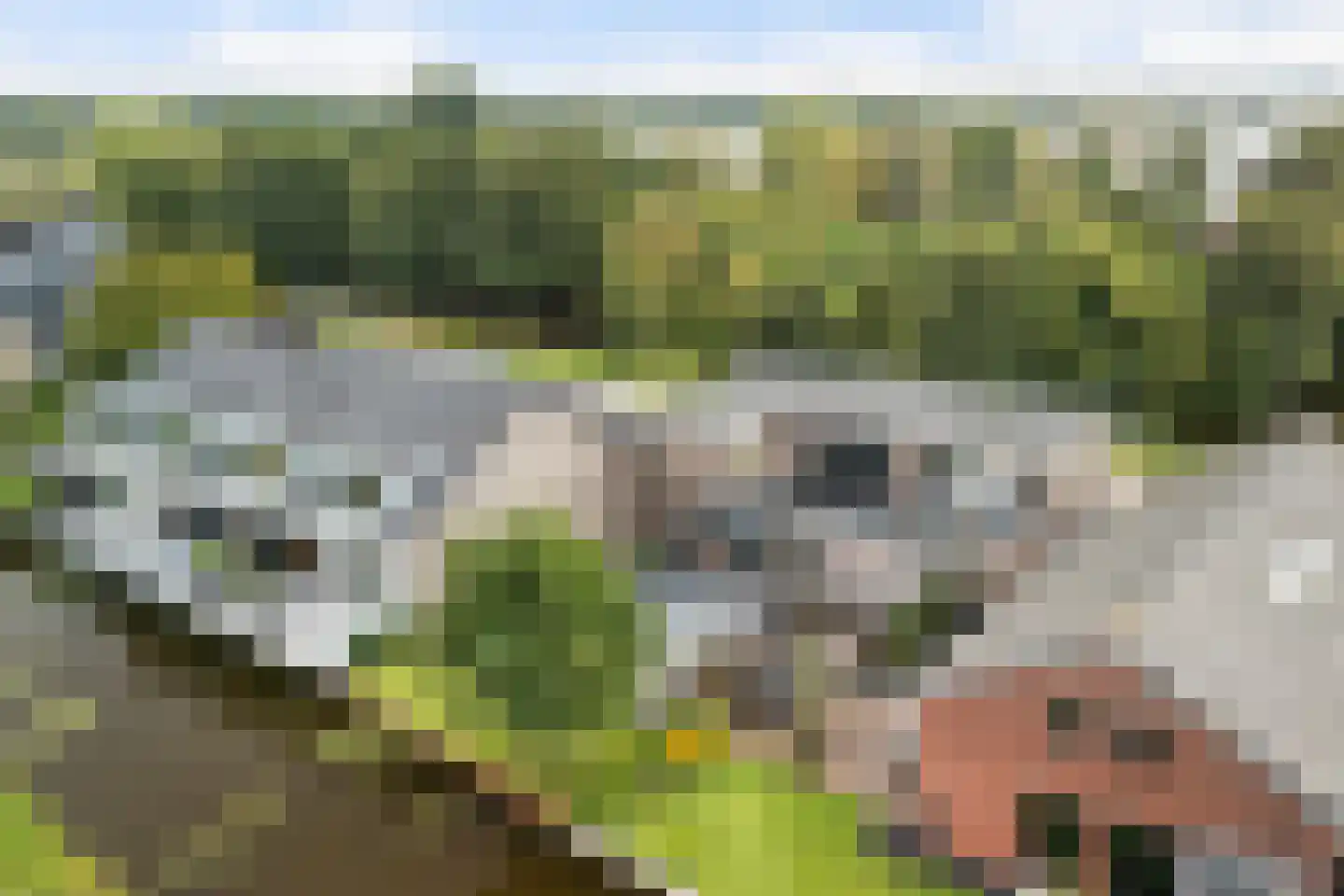 Simon van Capelweg 7 B Noorden thumbnail 30