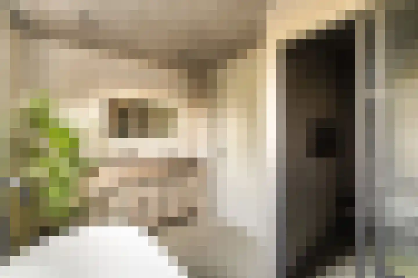 Simon van Capelweg 7 B Noorden thumbnail 39