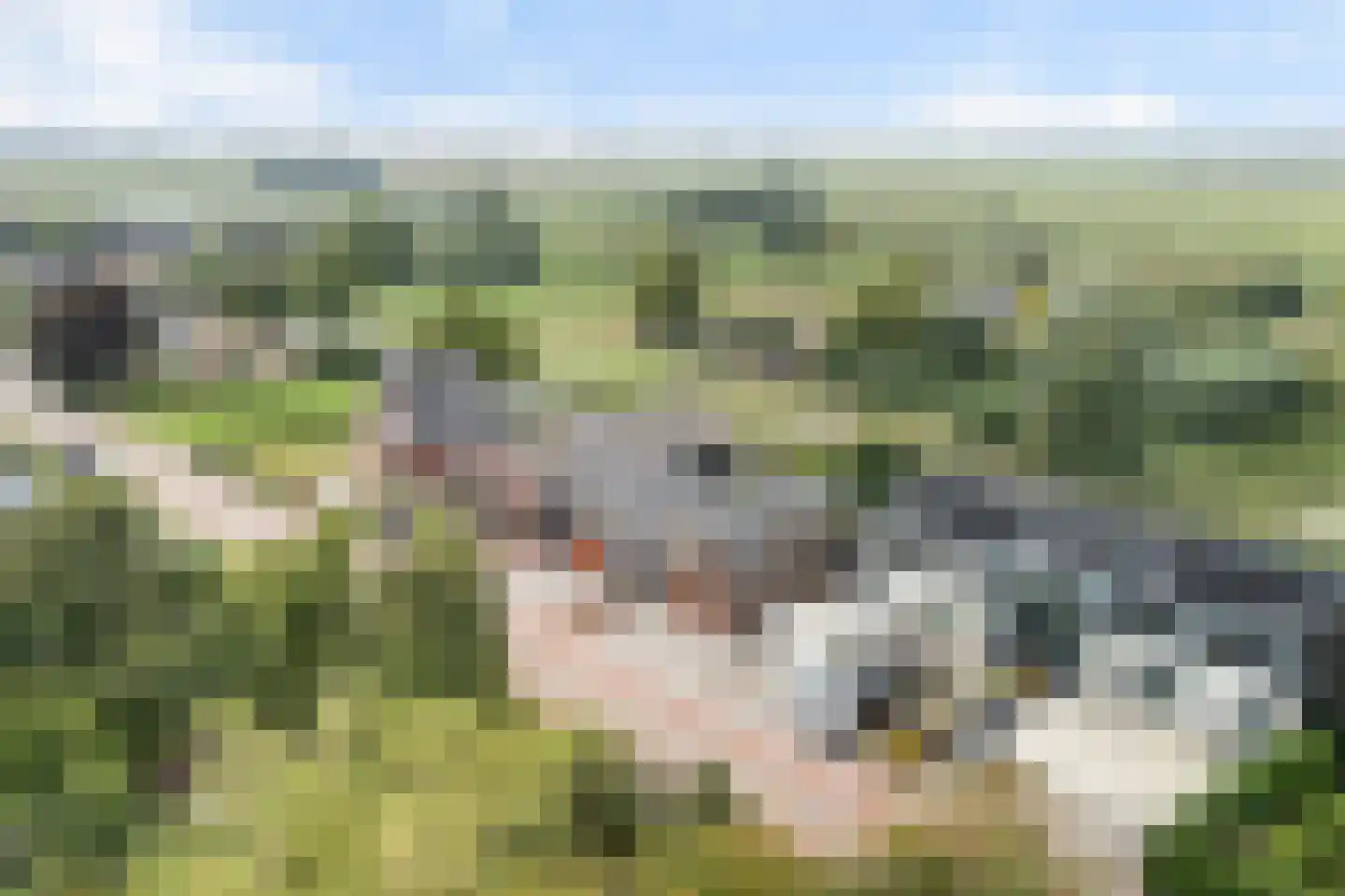 Simon van Capelweg 7 B Noorden thumbnail 5