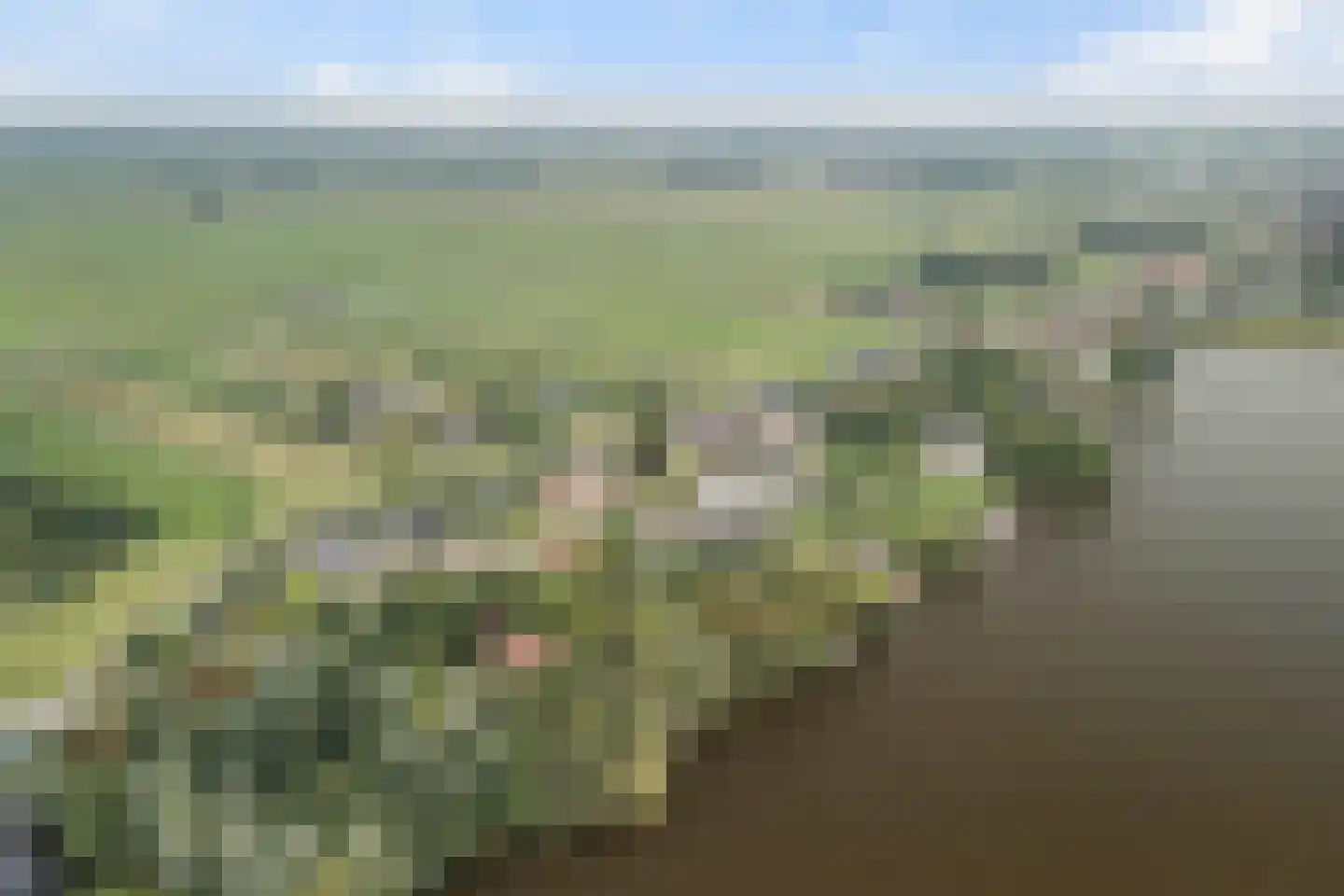 Simon van Capelweg 7 B Noorden thumbnail 71