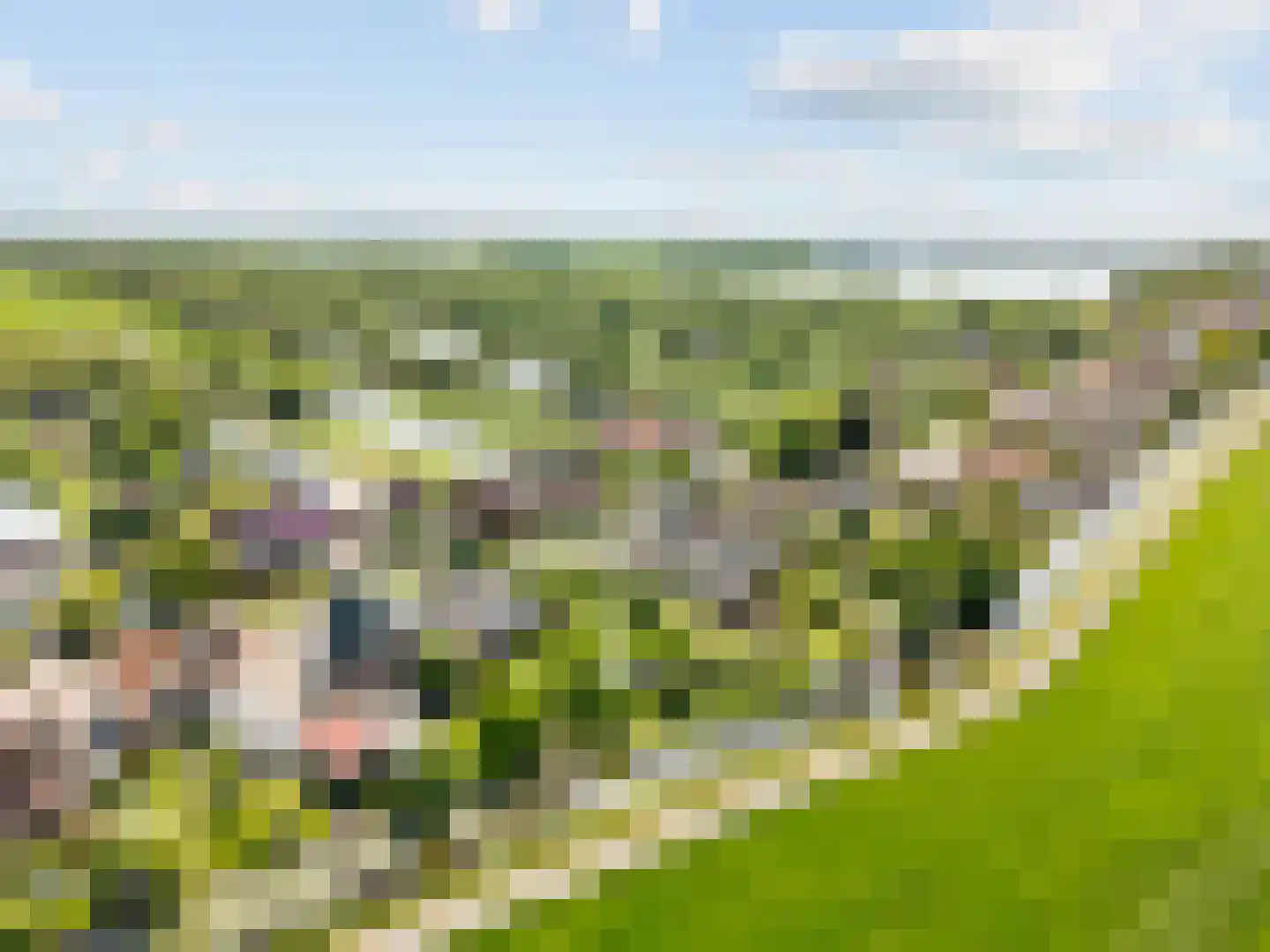 Simon van Capelweg 87 Noorden thumbnail 7