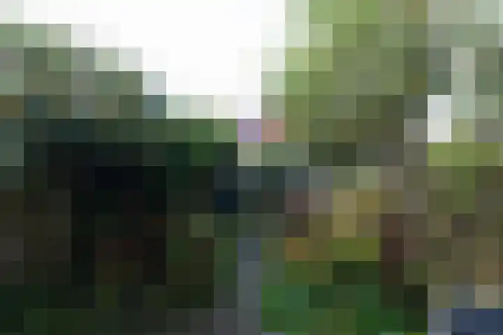 Simon van Collemstraat 160 Almere thumbnail 33