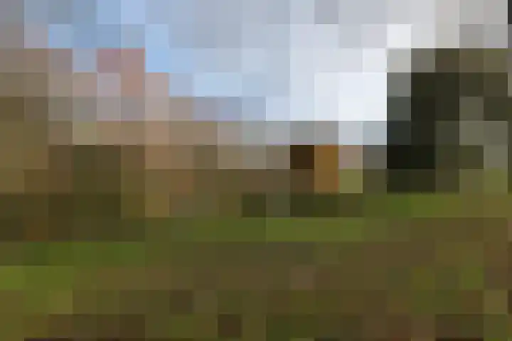 Simon van Collemstraat 160 Almere thumbnail 35