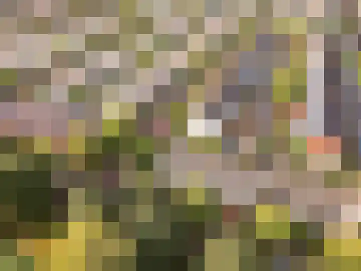 Simon van Collemstraat 172 Almere thumbnail 37