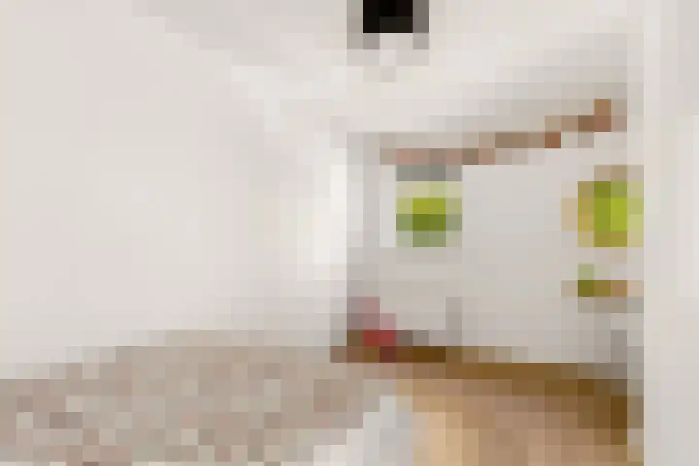 Simon van Collemstraat 92 Almere thumbnail 32