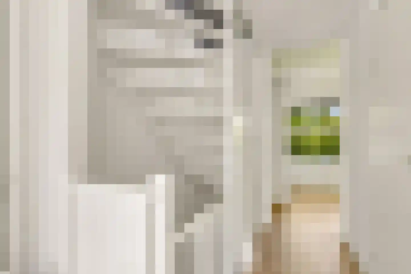 Simon van Collemstraat 92 Almere thumbnail 39