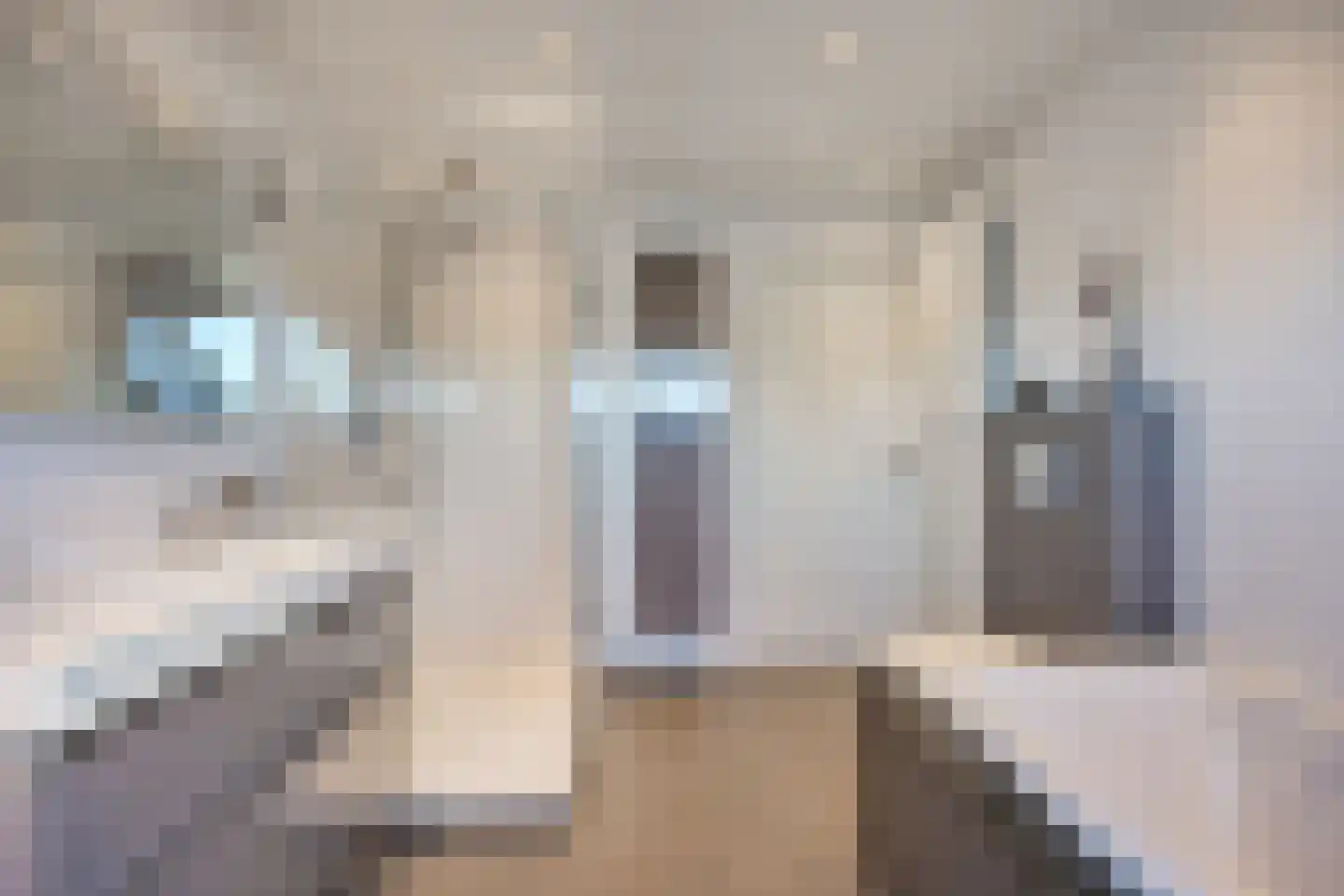 Simon van den Berghstraat 33 Geffen thumbnail 19