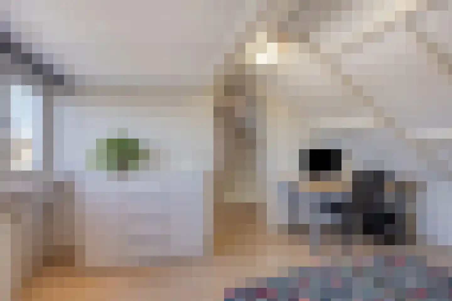 Simon van den Berghstraat 33 Geffen thumbnail 24