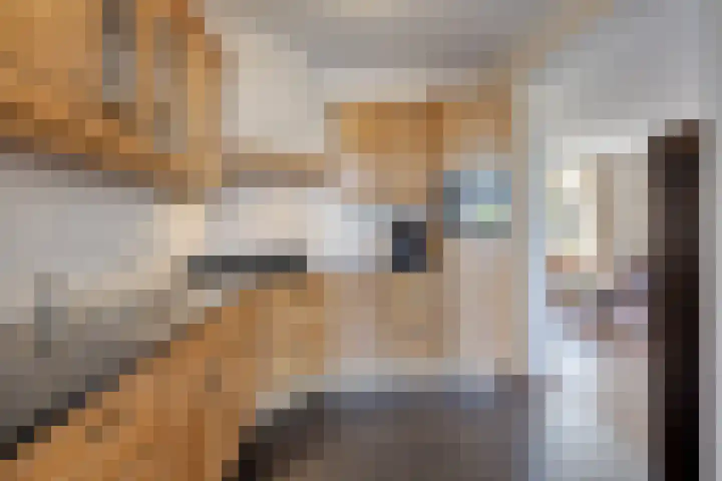Simon van den Berghstraat 33 Geffen thumbnail 9