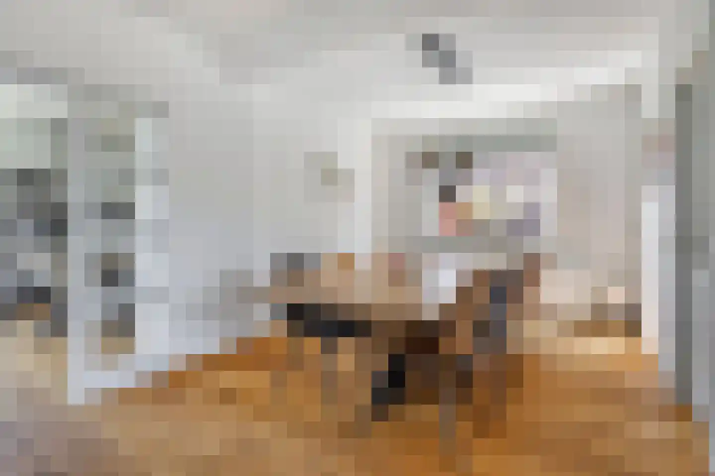 Simon van den Berghstraat 42 Geffen thumbnail 10