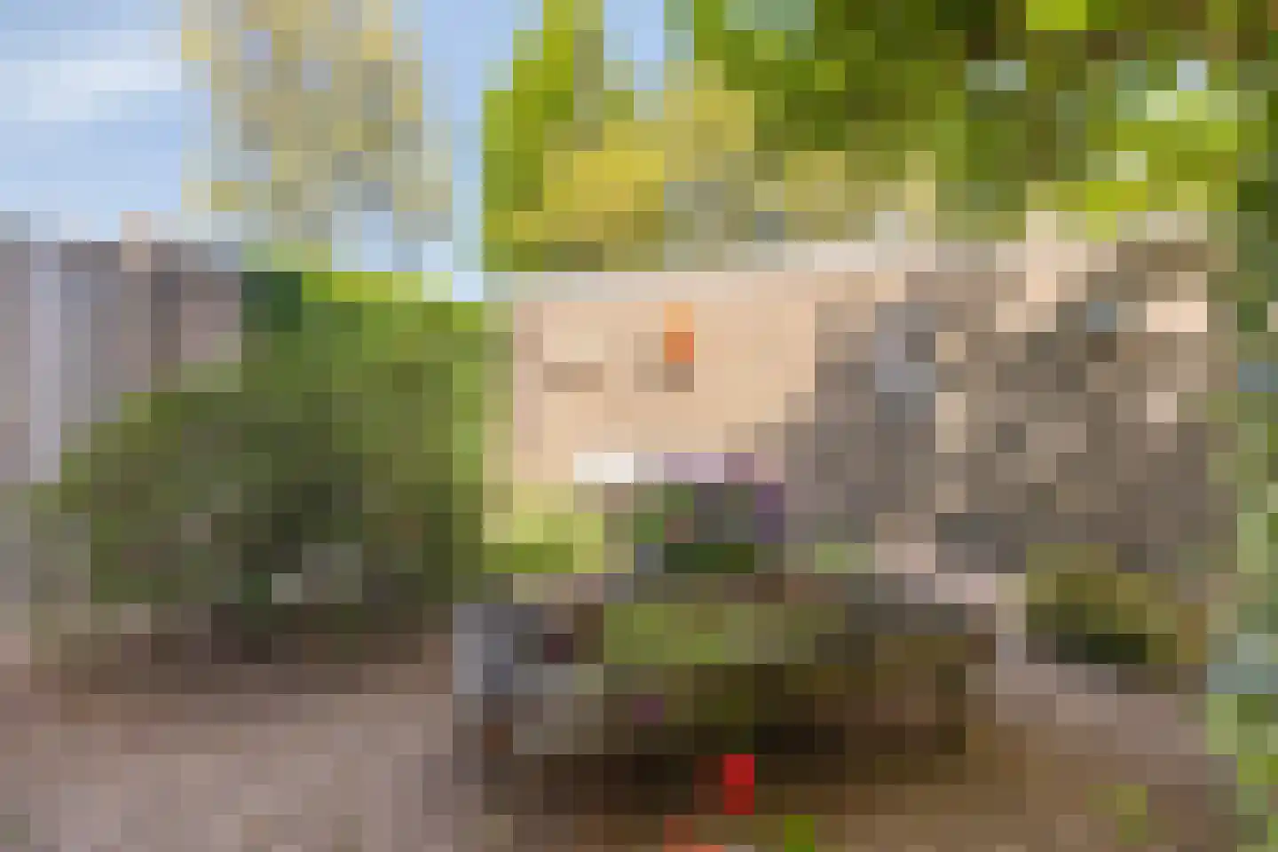 Simon van den Berghstraat 42 Geffen thumbnail 21