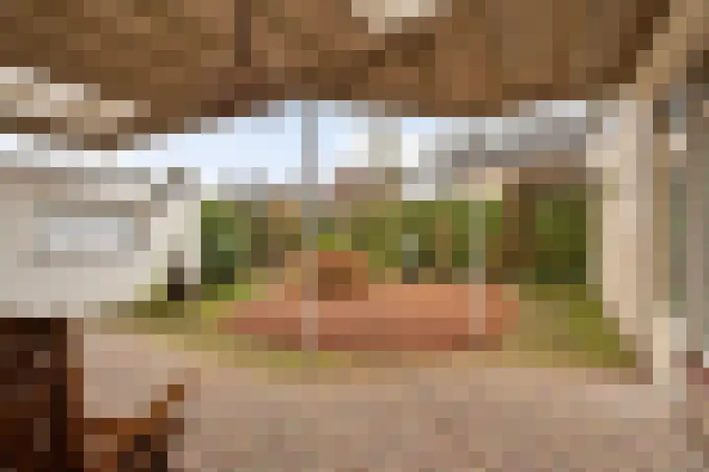 Simon van den Berghstraat 46 Geffen thumbnail 11