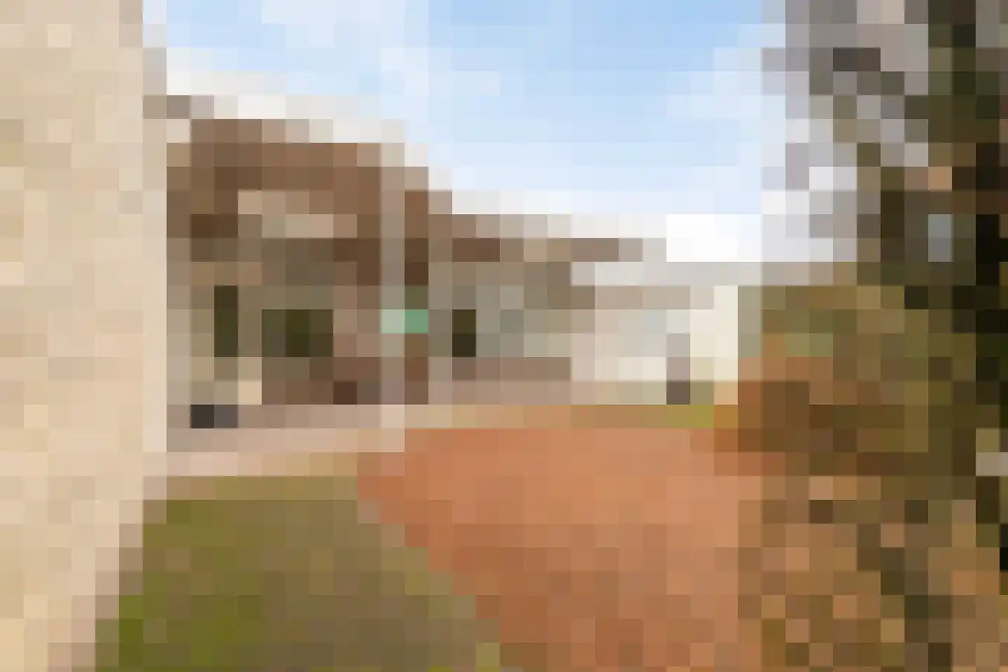 Simon van den Berghstraat 46 Geffen thumbnail 14