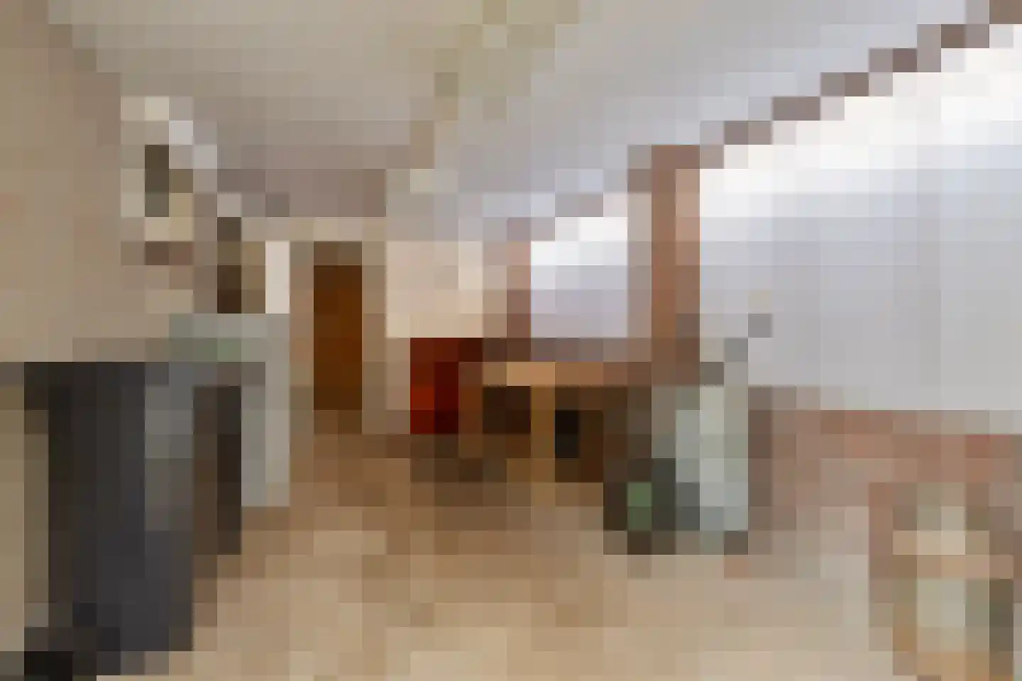 Simon van den Berghstraat 46 Geffen thumbnail 25