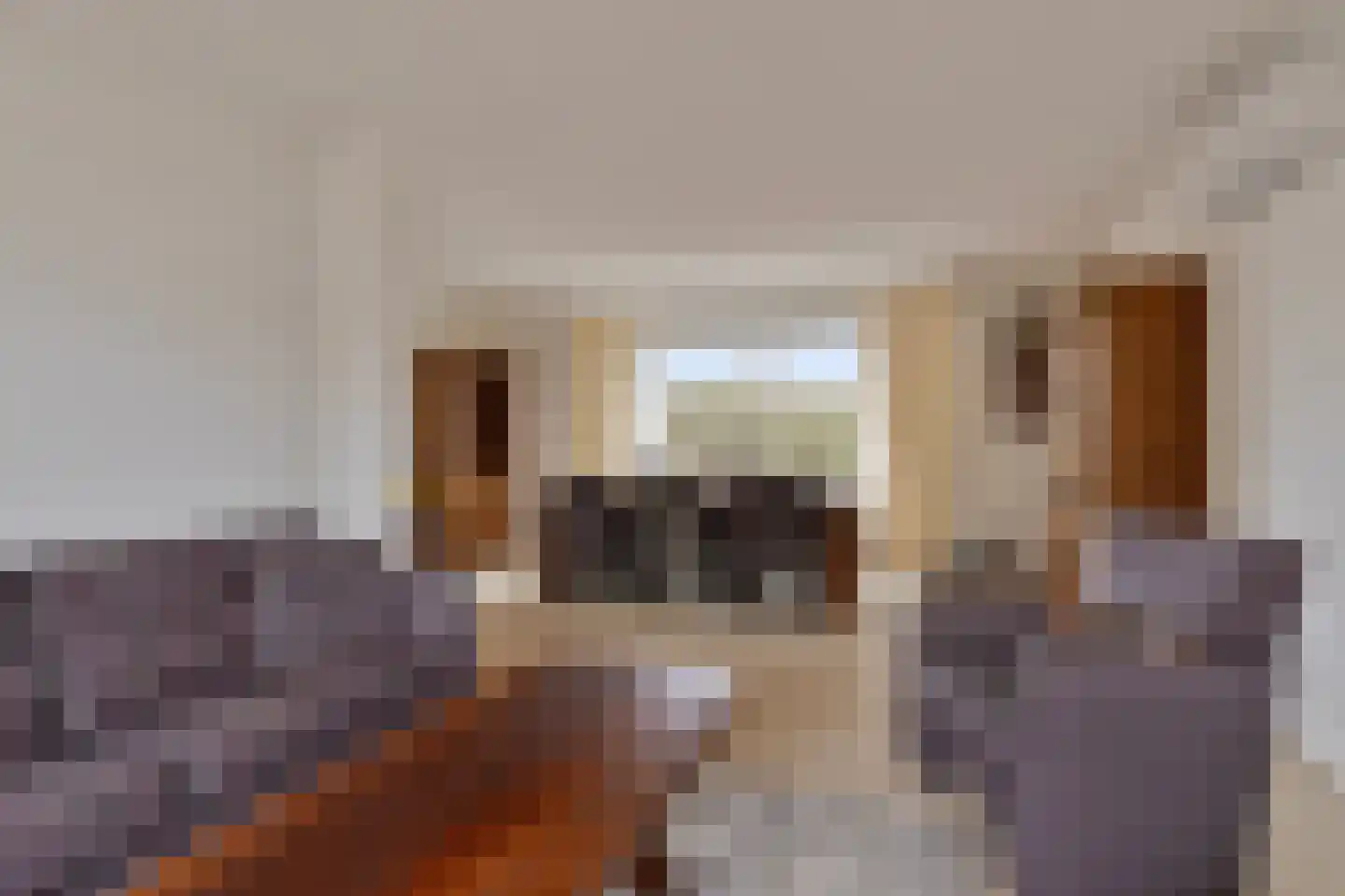 Simon van den Berghstraat 46 Geffen thumbnail 6