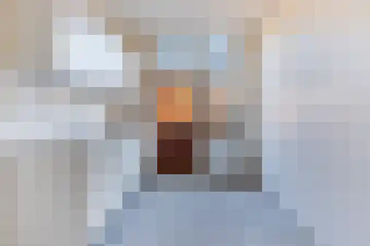 Simon van der Stellaan 14 Gouda thumbnail 17