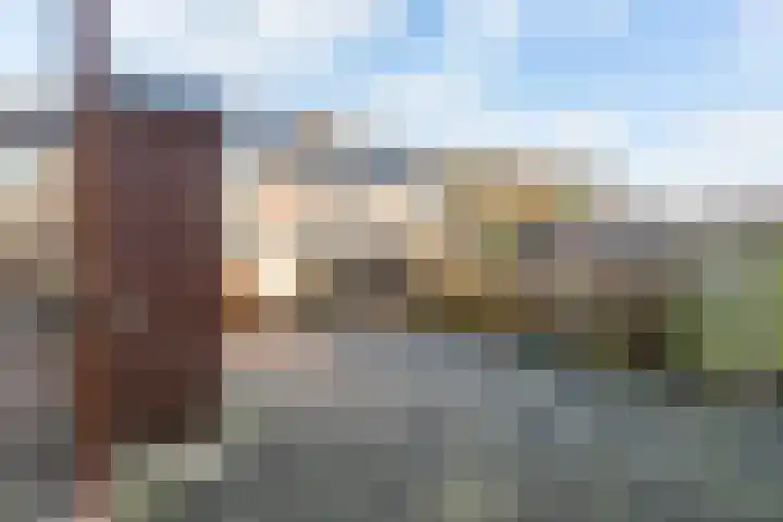 Simon van der Stellaan 14 Gouda thumbnail 19