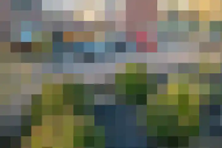 Simon van der Stellaan 14 Gouda thumbnail 32