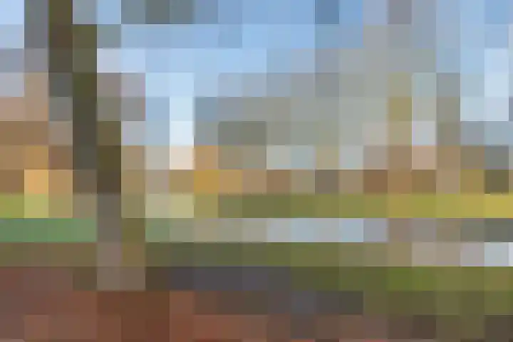 Simon van der Stellaan 14 Gouda thumbnail 43