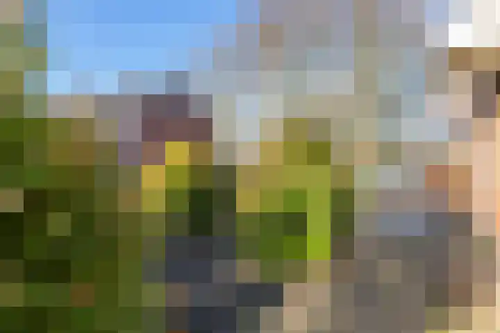 Simon van der Stellaan 14 Gouda thumbnail 44