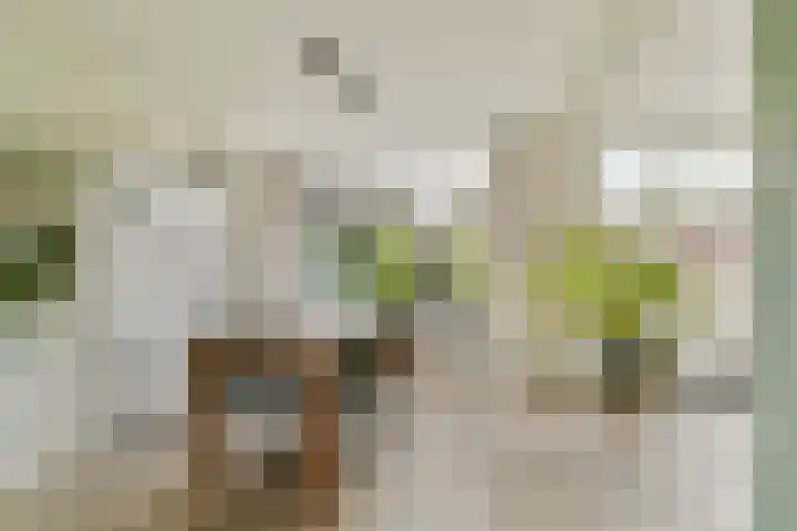 Simon van der Stellaan 9 Gouda thumbnail 12