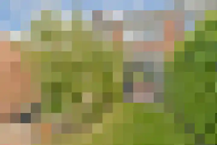 Simon van der Stellaan 9 Gouda thumbnail 30