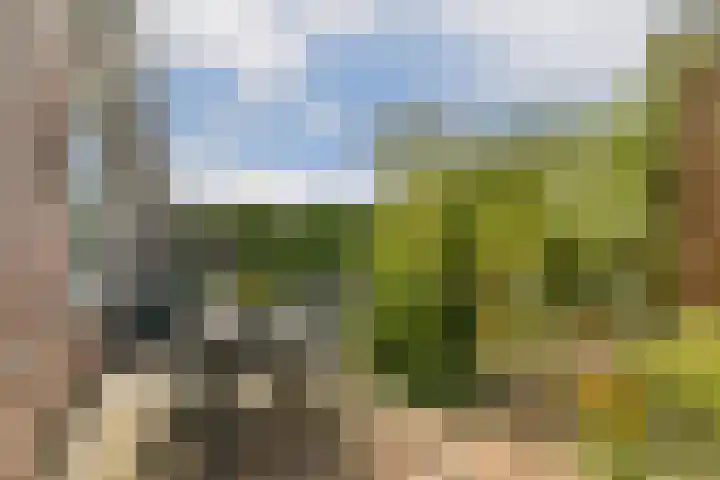 Simon van der Stellaan 9 Gouda thumbnail 31