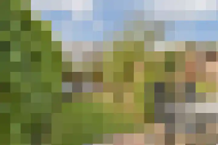 Simon van der Stellaan 9 Gouda thumbnail 32