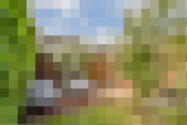 Simon van der Stellaan 9 Gouda thumbnail 33